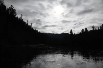 DSC_0209 (Large).JPG